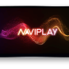 Naviplay N500
